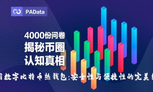 常用数字比特币热钱包:安全性与便捷性的完美结合