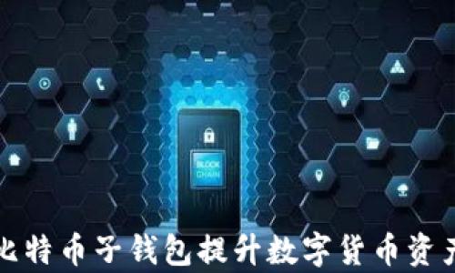 
如何使用比特币子钱包提升数字货币资产管理效率