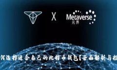 如何选择适合自己的比特币钱包？全面解析与推