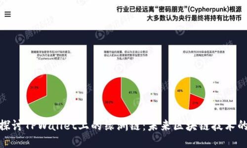 深入探讨TPWallet上的绿洲链：未来区块链技术的关键