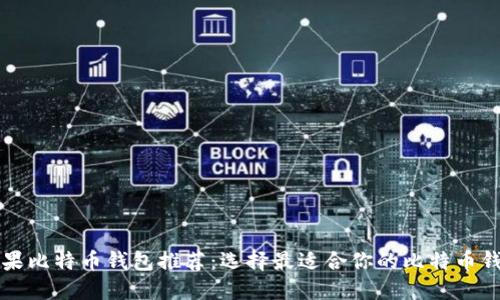 苹果比特币钱包推荐：选择最适合你的比特币钱包